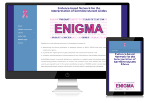 voorbeeld van responsive website die ik maakte voor het ENIGMA research project